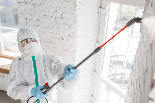 Best Indoor Air Quality Assessment  in Edgemoor, DE