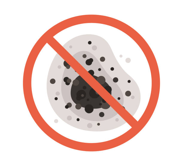 Best Air Quality Testing for Mold Spores  in Edgemoor, DE