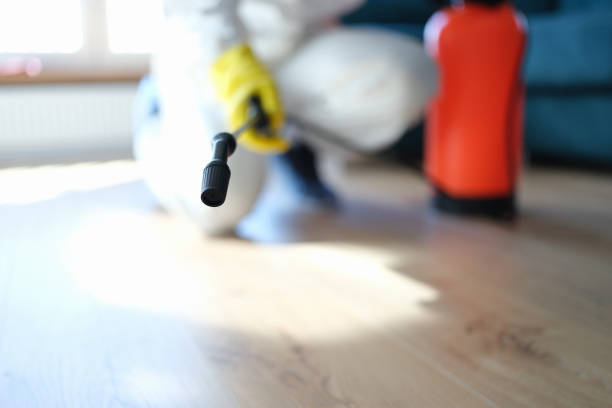 Environmental Consulting for Mold Prevention in Edgemoor, DE