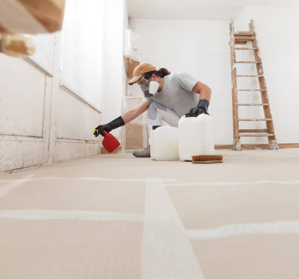 Best Forensic Mold Investigation  in Edgemoor, DE